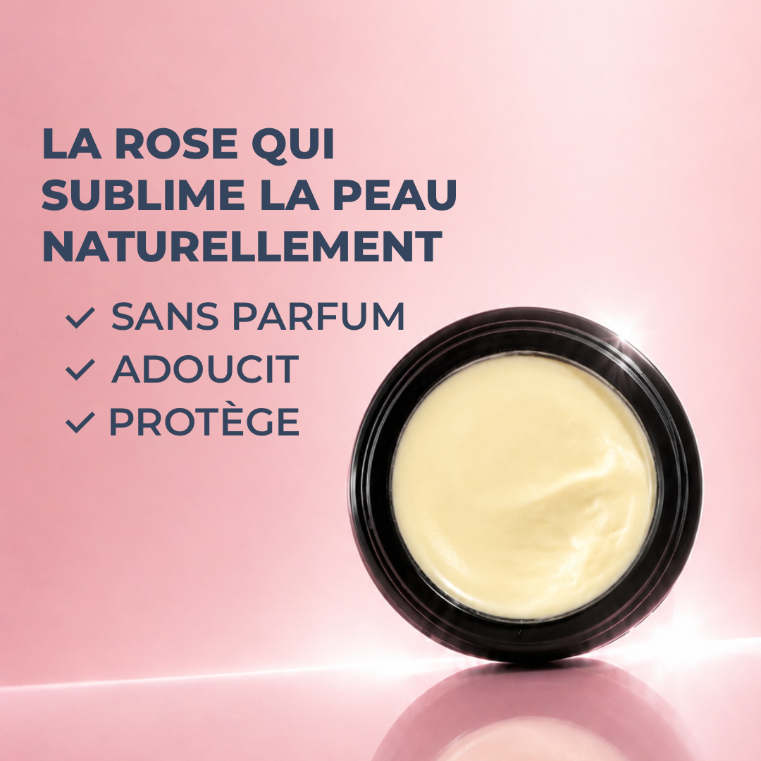 CRÈME HYDRATANTE VISAGE À LA ROSE