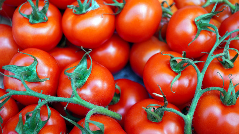 HUILE DE PÉPINS DE TOMATE